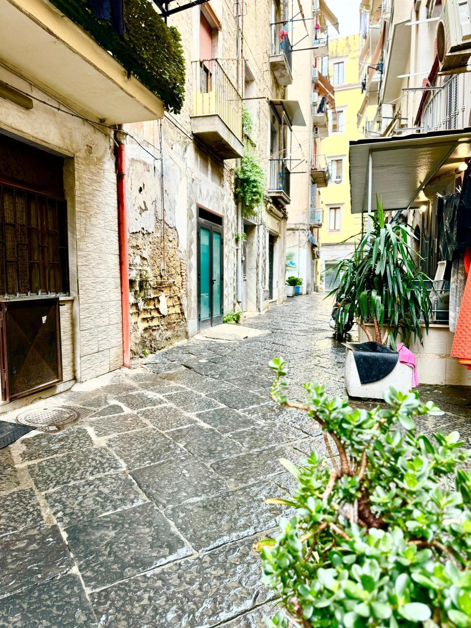 Vesuvius House Apartamento Nápoles Exterior foto
